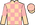 Silk Colours